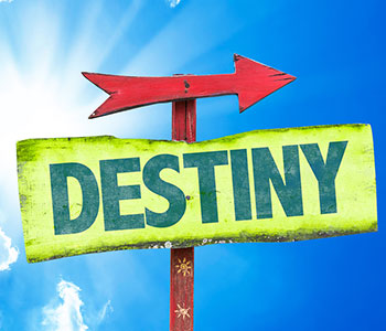 Destiny Revealed Package - Save 40% Astrology Report
